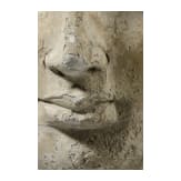 Gandhara-Stucco-Kopf, 5. - 6. Jhdt.