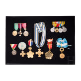 Sammlung mit 88 internationalen Auszeichnungen, 1910 - 1980