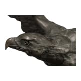 Gro&szlig;er Bronzeadler