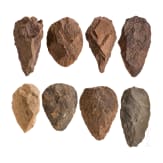 Eight Saharan hand axes, paleolithic, Acheulean, approx. 500000 - 100000 B.C.