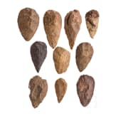 Ten Saharan hand axes, paleolithic, Acheulean, approx. 500000 - 100000 B.C.
