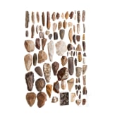 A large collection of stone tools, blades, scrapers etc., Paleolithic - Neolithic, circa 500000 - 2000 B.C.