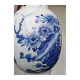 A Chinese blue and white jar with flowers, probably Kangxi period (early 18th century)