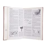 Eleven books on the subject of old weapons from the Near and Far East, DE/NL/EN