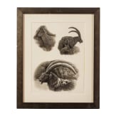 A pair of signed ibex drawings, dated 2006