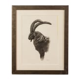 A pair of signed ibex drawings, dated 2006