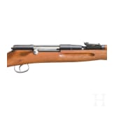 Radom, Mod. Wehrsportgewehr