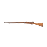 Werdergewehr M69