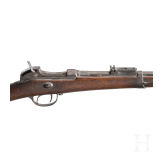 Gewehr Werder M 1869 alter Art, aptiert
