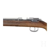 Wehrsportgewehr BSW