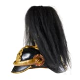 A helmet for IR 117 Hessian Officers, with bush