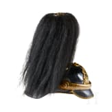 A helmet for IR 117 Hessian Officers, with bush