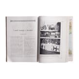 Neun Luftfahrtmagazine, einige mit Caproni-Artikeln, Italien, 1917 - 1919