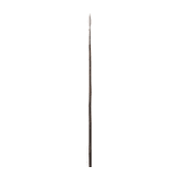 Pike, deutsch, um 1600