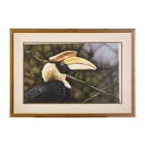 Christopher Stephens, "Indian Hornbill, female", England, datiert 1998