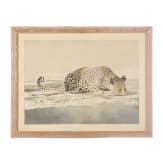 Leigh Voight, "Leopard drinking", S&uuml;dafrika, datiert 1997