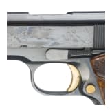 Colt Government