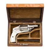 Velodog-Revolver in Schatulle