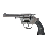 Colt Police Positive
