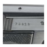 Mauser WTP II