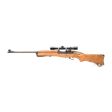 Ruger Mini 14, mit ZF Tasco