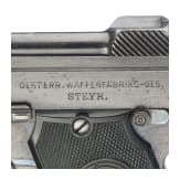 Steyr, Mod. 1909