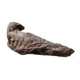 An ancient Egyptian falcon mummy, Late Period, mid-1st century B.C.