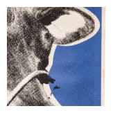 Andy Warhol (1928 - 1987), an exhibition poster "Cow", Modern Art Pavillion, Seattle, 1976 - 1977