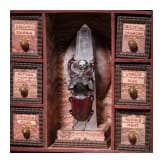 A book-shaped poison cabinet with stag beetle, German, ca. 1900
