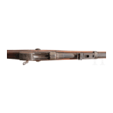 A single-loading rifle Amberg Mod. Werder 1869 adapted