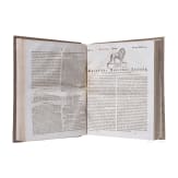 "K&ouml;niglich=privilegirte Baierische National=Zeitung" - zwei gebundene Halbjahresausgaben 1815