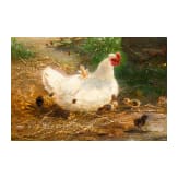 "Poultry", Fritz Lange (D&uuml;sseldorf 1851 &ndash; 1922 D&uuml;sseldorf), 1880, oil on canvas