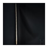 A narwhal tusk (monodon monoceros)