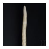 A narwhal tusk (monodon monoceros)