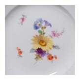 Zwei Vorspeisenteller und f&uuml;nf Dessertteller mit Blumen und Insekten, Meissen, um 1840/50