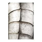 A South German or Swiss pikeman's armour, circa 1600