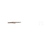 Captain Walter Forstmann - two Oriental flintlock firearms with silver mountings, a gift from the Senussi/Sanusiya