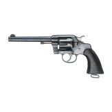A Colt New Double Action Army and Navy Mod. 1895, 1901
