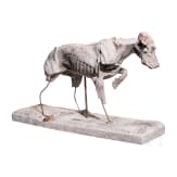 Anatomisches Hundemodell (Muskelhund), Willy Z&uuml;gel (M&uuml;nchen 1876 &ndash; 1950 Wolkenhof/Murrhardt), fr&uuml;hes 20. Jhdt.