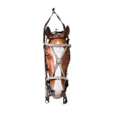 A parade bridle for officers of the 1st Life Hussar Regiment or the 3rd Hussar Regiment, circa 1900