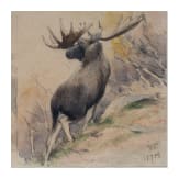 "Studies of Moose", Richard Bernhard Louis Friese (Gumbinnen 1854 &ndash; 1918 Bad Zwischenahn), 1906