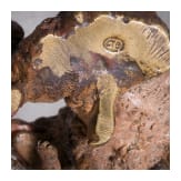 Zwei Wiener Bronzeminiaturen: &bdquo;Schildkr&ouml;te", Franz Xaver Bergmann (Wien 1861 &ndash; 1936 Wien); &bdquo;Wolfgruppe mit Jungtieren", Stefan Buchinger (Wien, t&auml;tig um 1900), um 1900