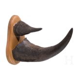Rhinozeros-Troph&auml;e, S&uuml;dafrika, um 1920/30