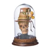 Memento mori, Anonym