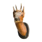 A pair of German Roebuck trophies, mid 19th century