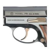 A CZ Mod. 75 with target sights
