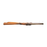 Hamburg - A percussion carbine pistol M 1855/56