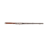 A pioneer's rifle M 1869 by Spandau
