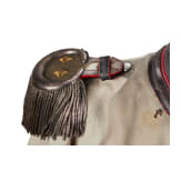 A Prussian Guard du Corps GdC Oberst Koller