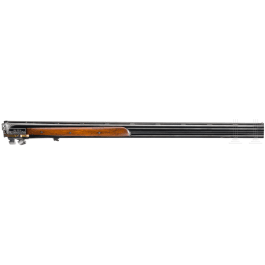 A combination barrel set for a Merkel 303E